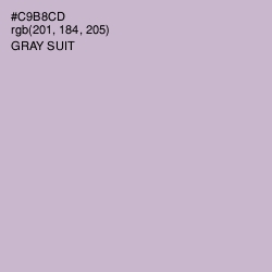 #C9B8CD - Gray Suit Color Image